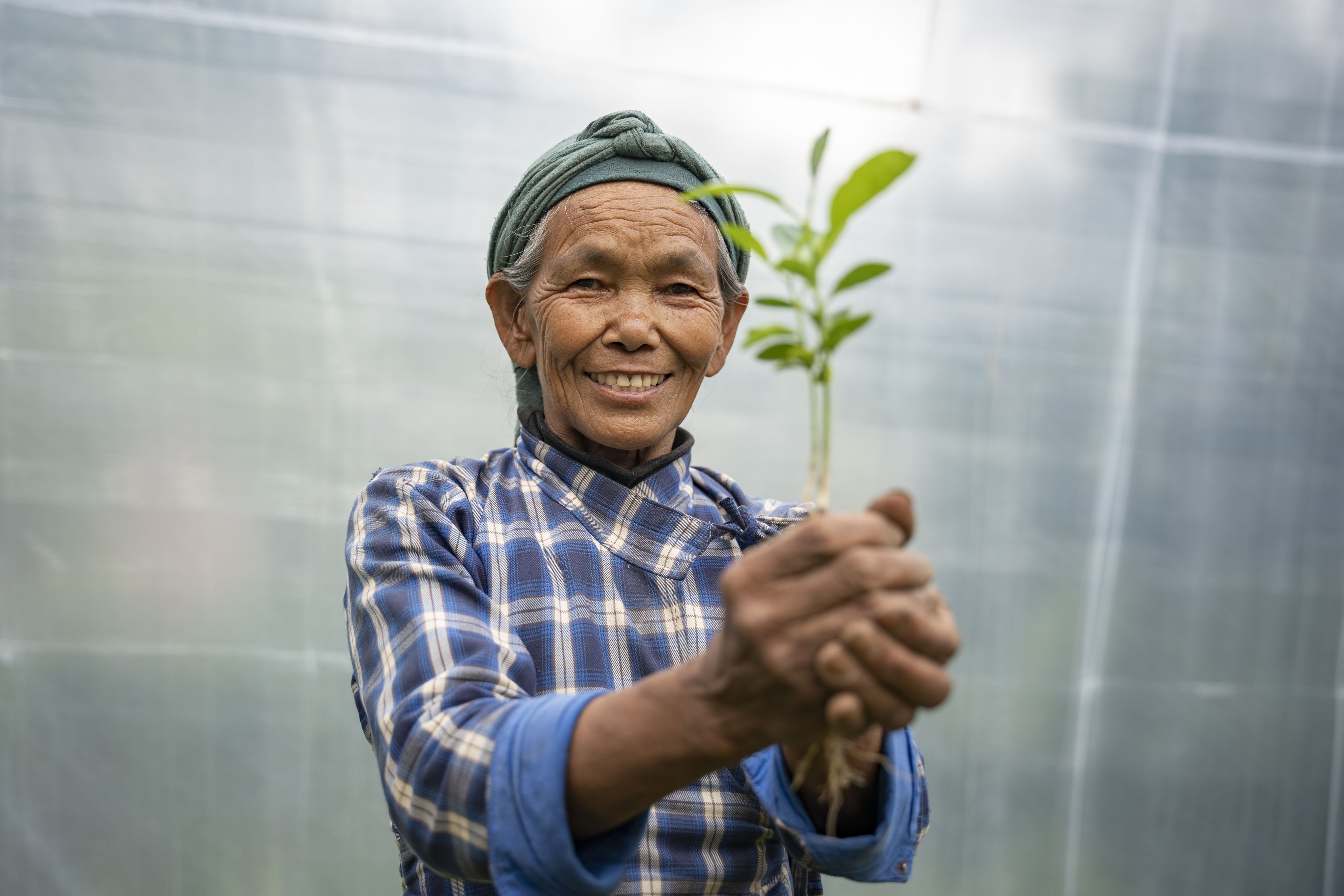 Yangjee Sherpa (63), jardinero del vivero múltiple de la cooperativa Jaiwik Bibidhata en el municipio rural de Jorayal, distrito de Doti (Nepal)