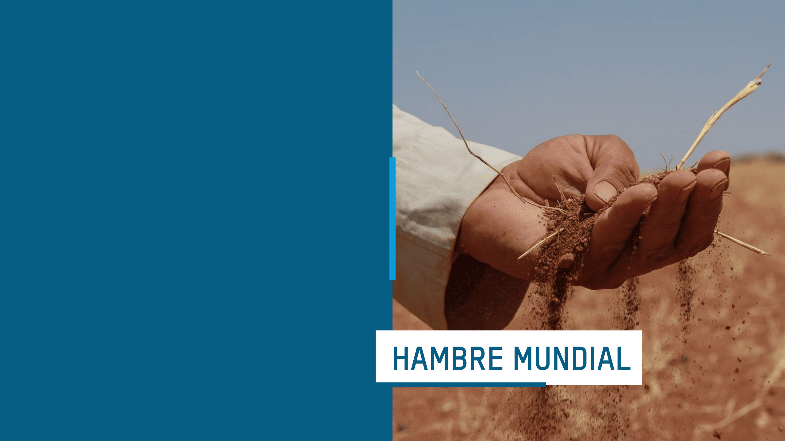 La mano de un granjero tamizando tierra seca durante una sequía.