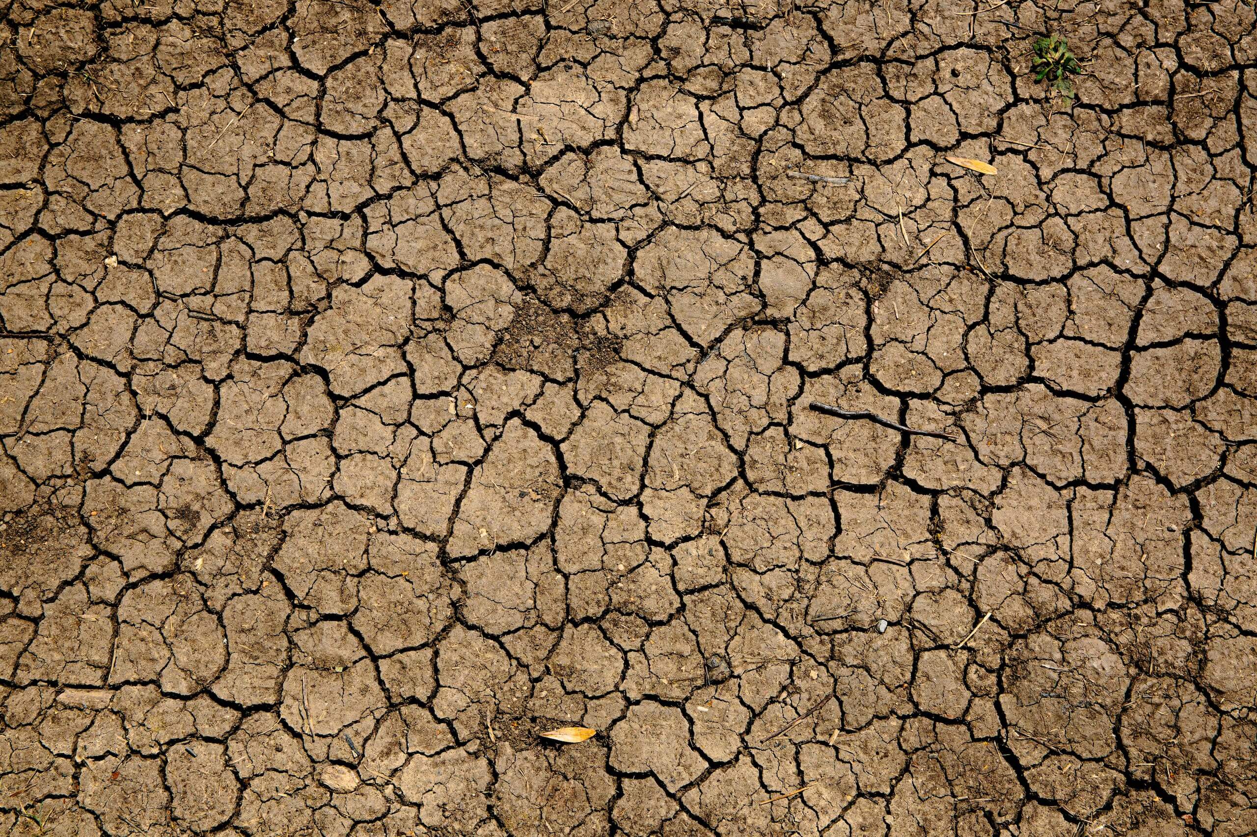 Tierra agrietada en una sequía