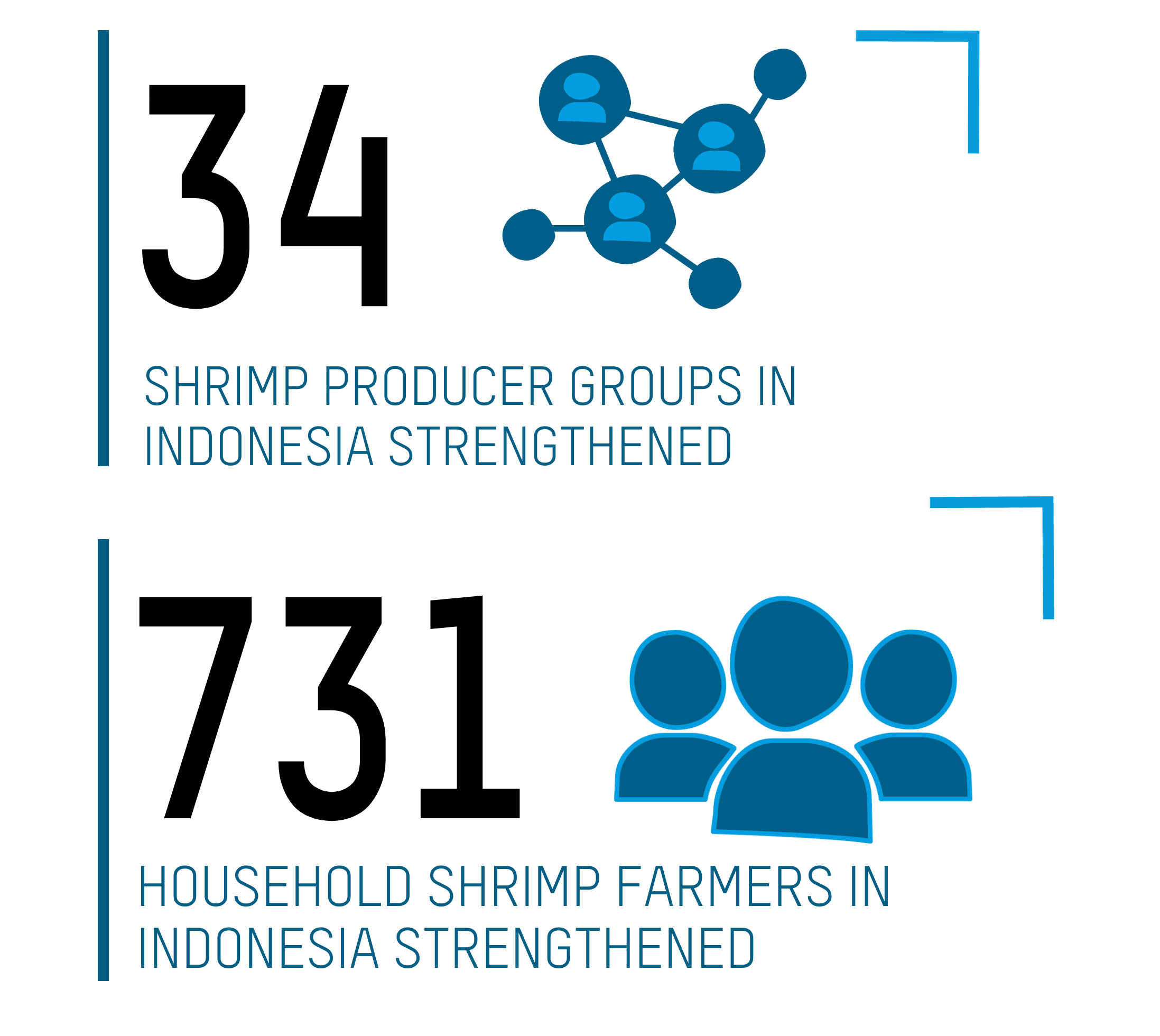 34 shrimp producer groups in Indonesia strengthened - 731 household shrimp farmers in Indonesia strengthened