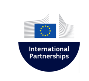 International Partnerships logo